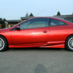 Ich habe mir einen Cougar gekauft