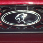 Eine Cougarpflaume als Emblem