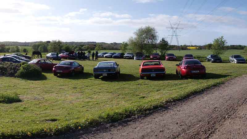 Cougar-Meet-Denmark-2015