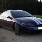 Wolfi (aka. Werwolfi)