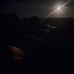 Cougartreffen Dänemark 2024