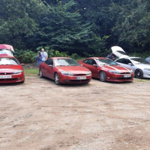 Cougartreffen Dänemark 2024