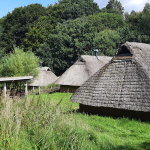 Cougartreffen Dänemark 2024