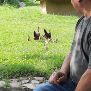 Cougartreffen Dänemark 2024