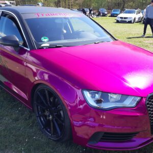 Nordlichter Treffen am Flugplatz Uetersen-Heist