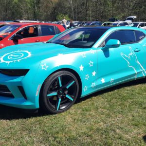 Nordlichter Treffen am Flugplatz Uetersen-Heist