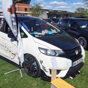 Nordlichter Treffen am Flugplatz Uetersen-Heist