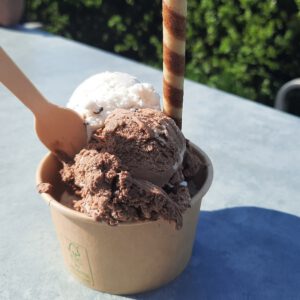 Nordlichter Treffen am Flugplatz Uetersen-Heist