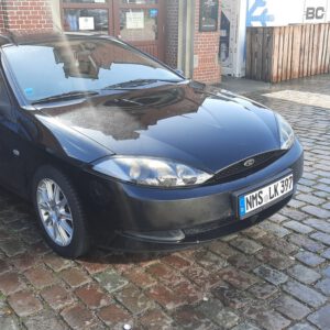 Cougar Treffen Hamburg 2024