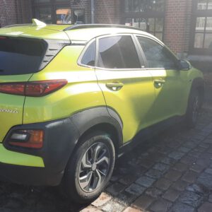 Cougar Treffen Hamburg 2024