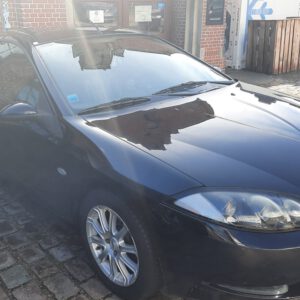 Cougar Treffen Hamburg 2024