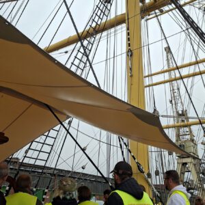 Cougar Treffen Hamburg 2026