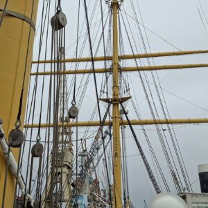 Cougar Treffen Hamburg 2026