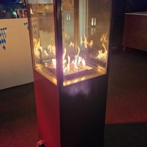 Cougar Treffen Hamburg 2026